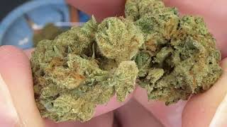 Goody Farms Lemon Cherry Gelato LCG