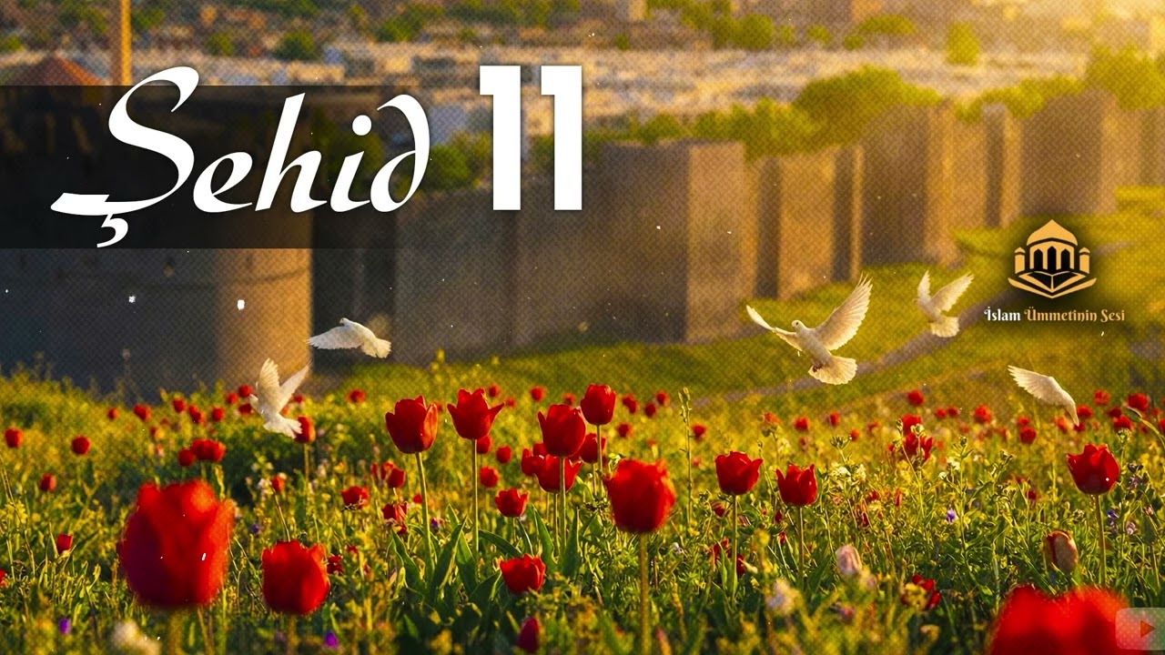 Şehid 4/11 Ey İrana serbilindî