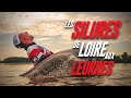 Les SILURES de LOIRE aux LEURRES / Maxime Albert