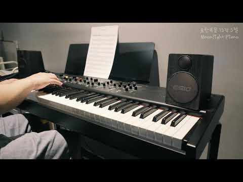 요한복음 15장 5절 (코드) - 이새로미