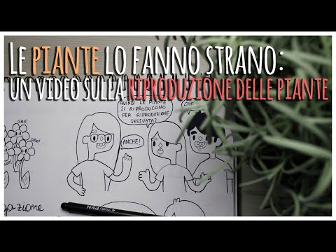 Video: Cosa significano dioici e monoici: comprendere i tipi di piante dioici e monoici