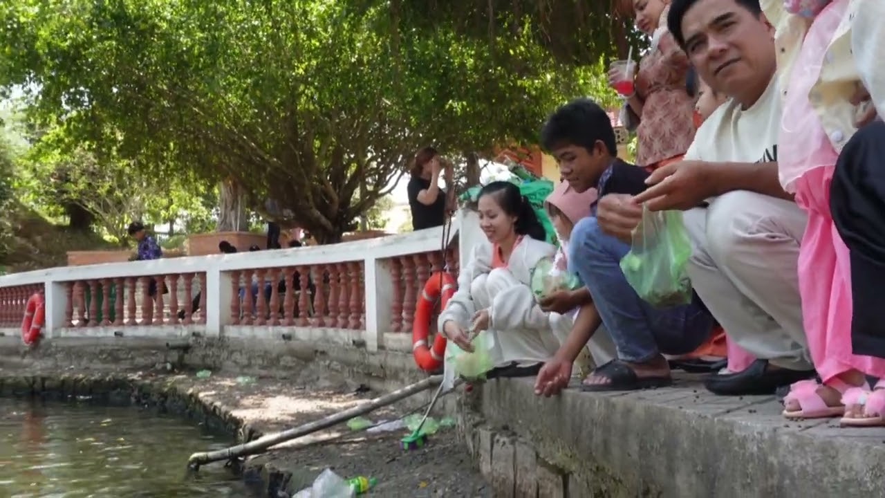 Thiền Viện Trúc Lâm AN GIANG vườn mai quá đẹp