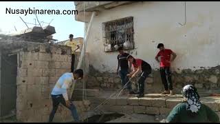 Nusaybinde Foseptik Una Düşen Ineği Itfaiye Ekipleri Kurtardı