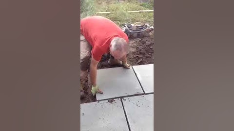 Flag laying and pointing 2.