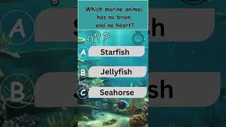 Marine Animal No Heart No Brain Star Fish Jelly Fish Seahorse Facts Quiz Shorts Mcq