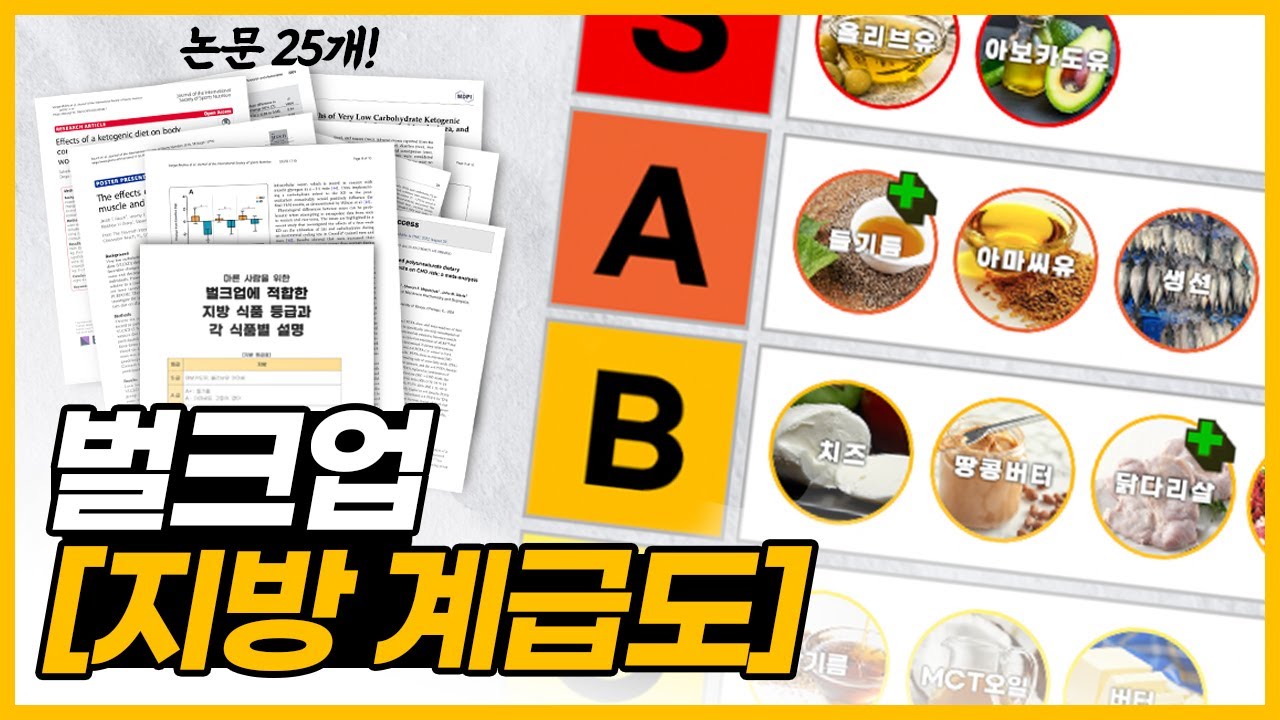 논문 25개로 만든 [벌크업 지방 계급도]ㅣ완벽 정리 PDF 첨부