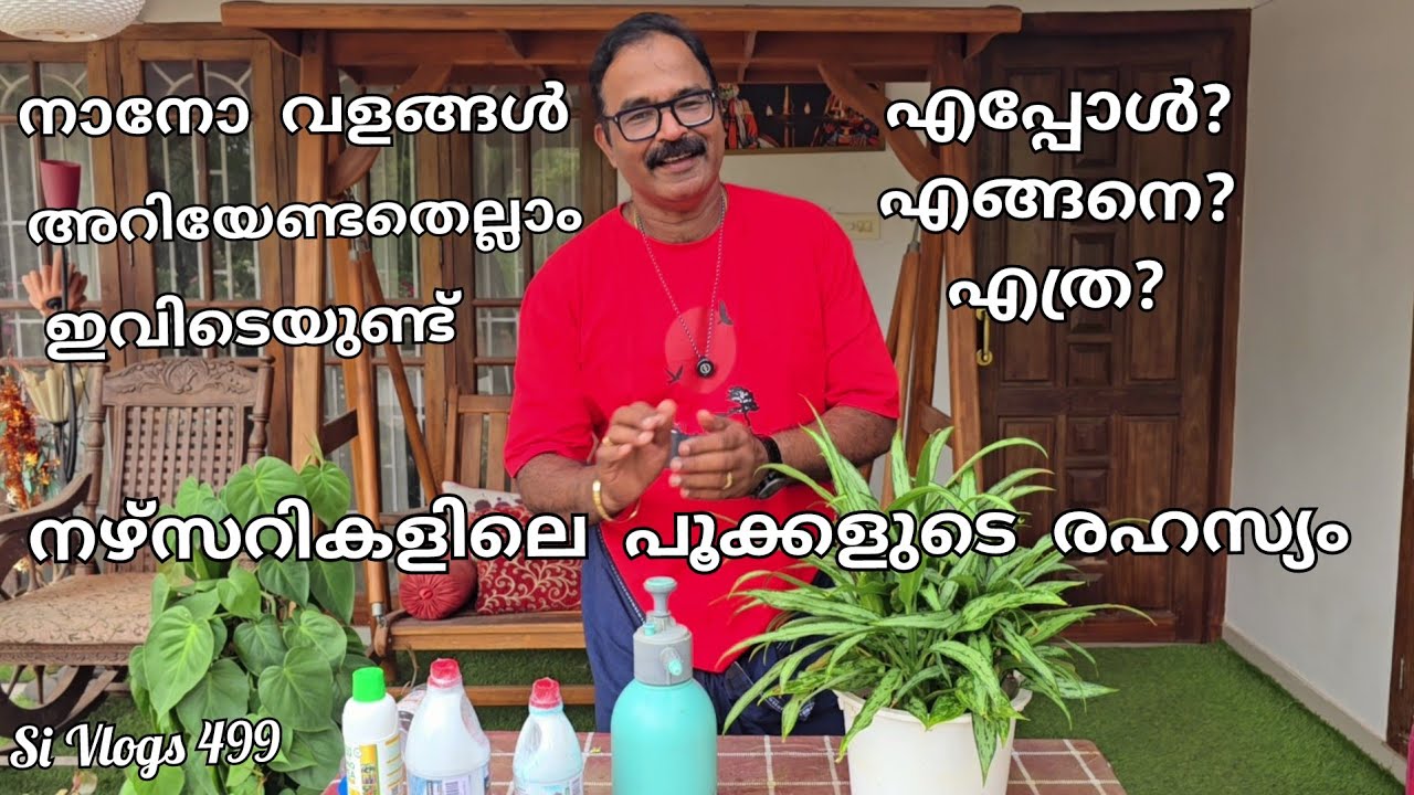 ചെടികൾ പൂക്കൾ കൊണ്ട് നിറയാനും വിളവ് കൂട്ടാനും ഇത്  മാത്രം മതി // Advantages of nano fertilizers