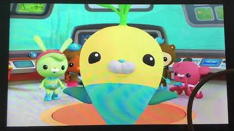 Creature report leatherback sea turtle