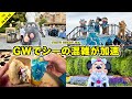 【VLOG】ゴールデンウィーク開始!ディズニーシーは混雑でヤバい事に!?グリーティングやショーパレなど【25周年】