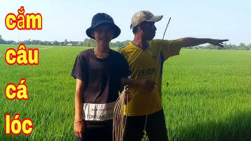 cắm câu cá lóc khủng.cá lóc nướng trui t34