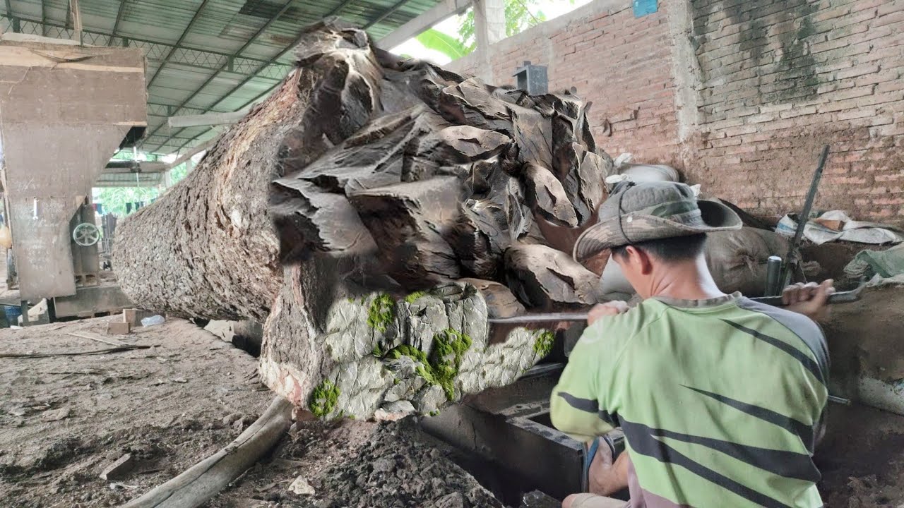 Extreme Wood Cutting at the Sawmill – Dangerous But Mesmerizing! - YouTube