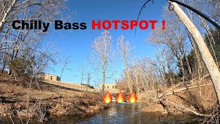 Winter BASS onslaught !