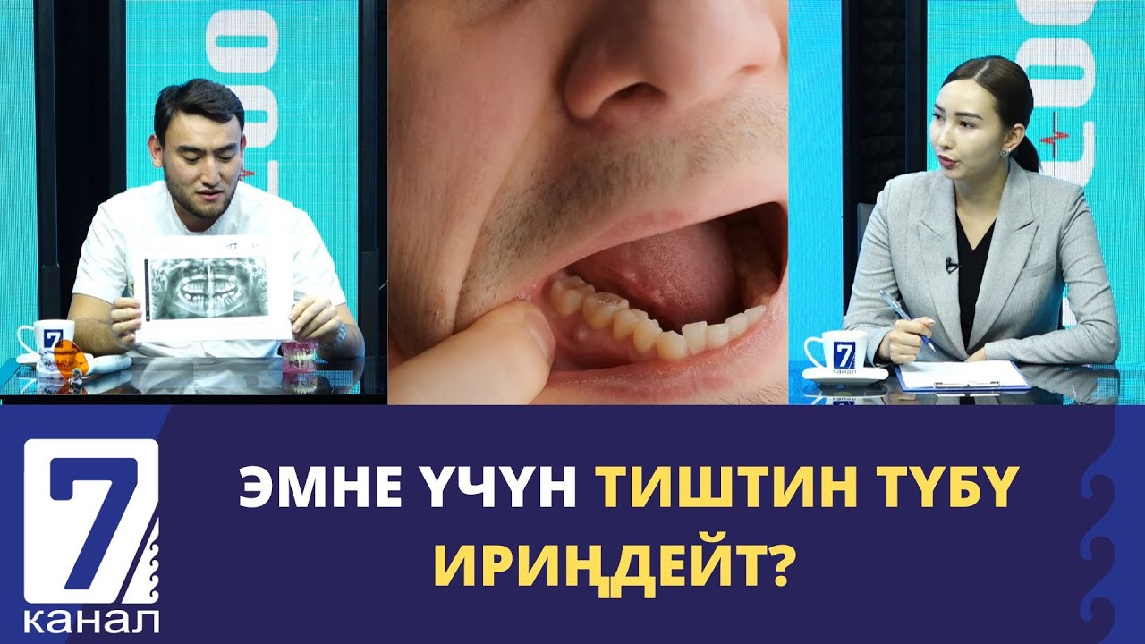 ЭМНЕ ҮЧҮН ТИШТИН ТҮБҮ ИРИҢДЕЙТ?