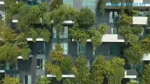 SOL FOREST - ECOPARK