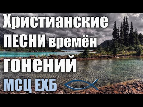Христианские песни | Словно лилия степная | МХО МСЦ ЕХБ
