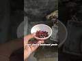 White Jawa Like To Eat Beetroot Peels Aseel Aseelmurga White Jawa Like To Eat Beetroot Peels Aseel Aseelmurga