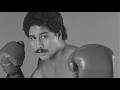 All Wilfredo Gomez Bazooka's Knockouts (World Title)