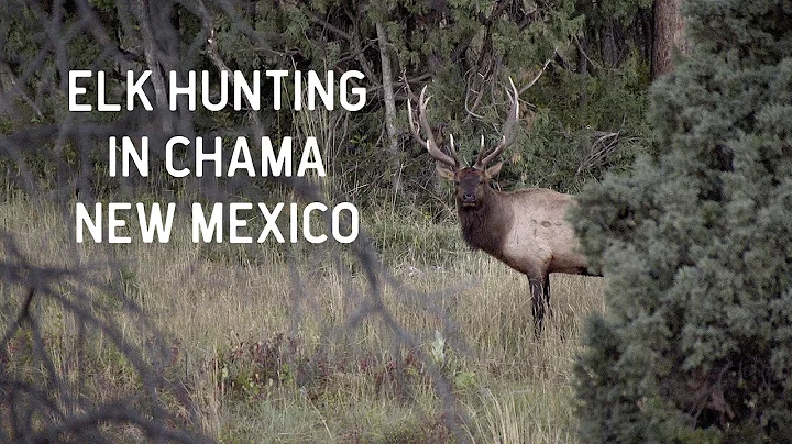 Elk Hunting in Chama, New Mexico | Quinlan Ranch 2...