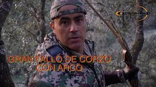 FALLO DE CORZO CON ARCO