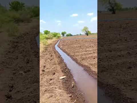 આખા ખેતરમાં ગાંજો વાવી દવ 😂😂😂