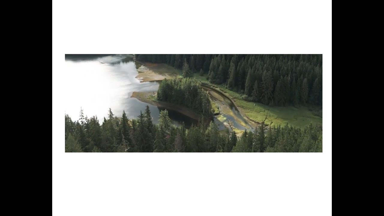 HOMAYNO IPCA SHORT FILM