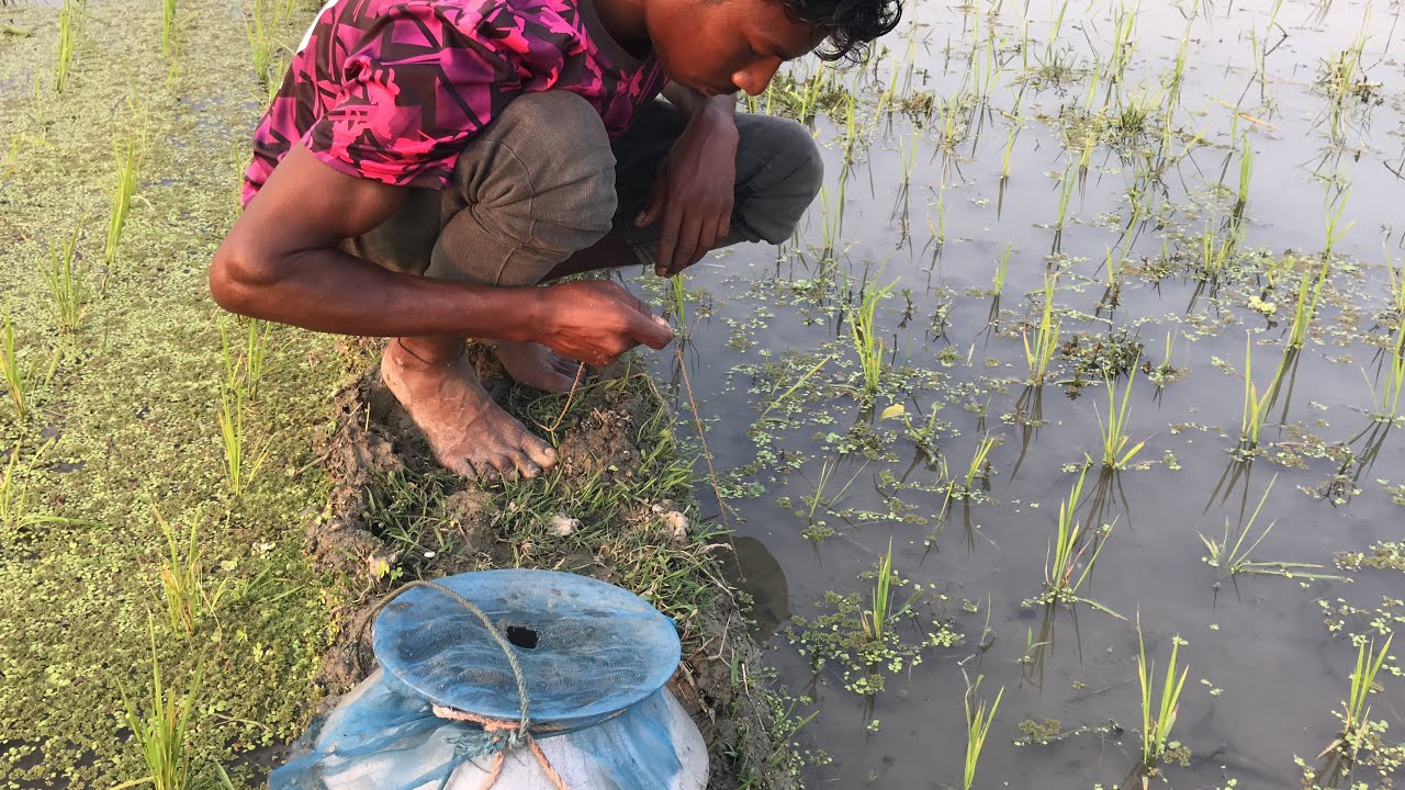 The best fishing life 🥰🥰fish