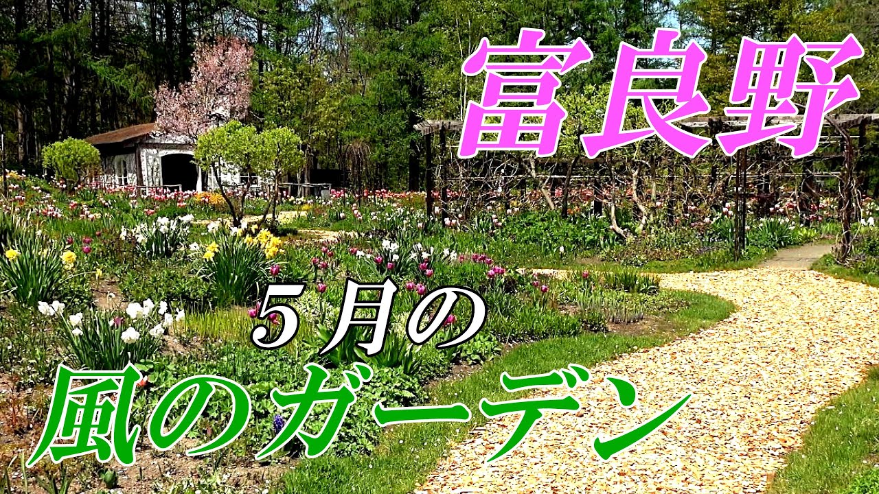 【北海道 富良野】『風のガーデン』～乙女の祈り、ノクターンと共に　４Ｋ