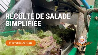 Découvrez les solutions de récolte avec Delecroix : Récolte de salades chez Benjamin Michel 🌿🚜