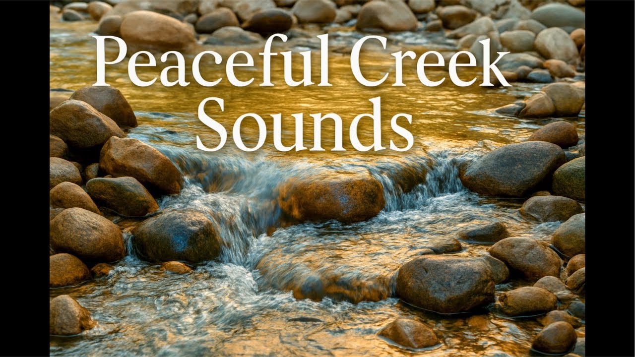 Whispers of the Creek | Calming Water Over Rocks for Deep Relaxation