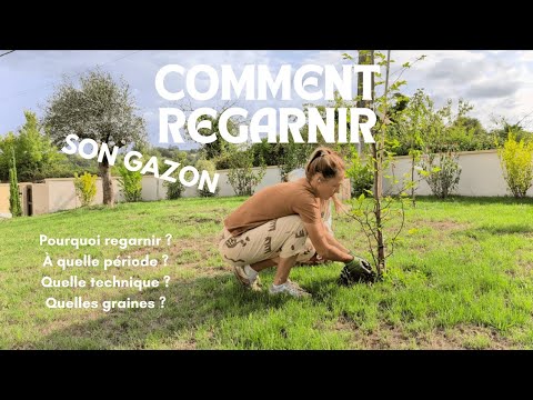 Comment REGARNIR son GAZON ? Pourquoi, période, technique et graines.