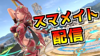 髭脱毛後のホムヒカスマメイト【スマブラSP】