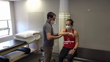 Manual Muscle Test for Shoulder Horizontal Abduction