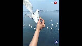 Rediscover Jharkhand With Isa Khan