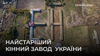 Новодеркульський кінний завод