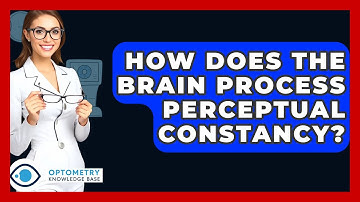How Does The Brain Process Perceptual Constancy? - Optometry Knowledge Base