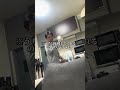 横動画投稿されました! #entp #カップル #蛙化現象