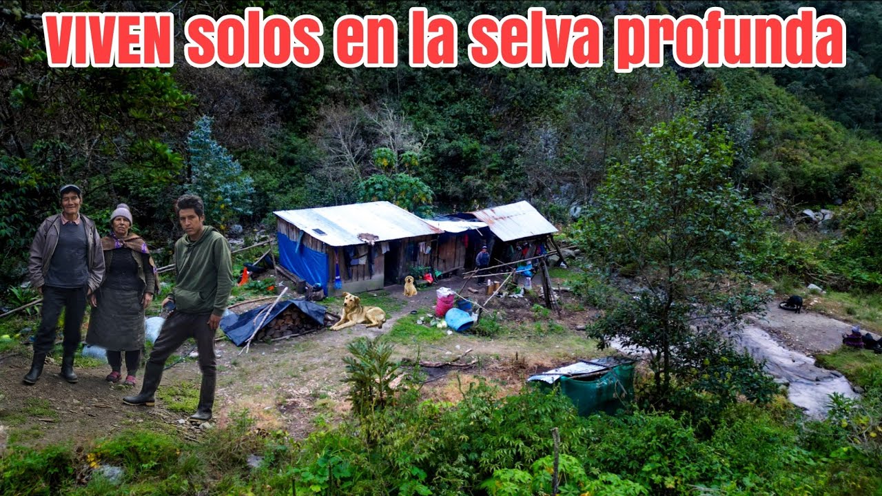 Esta familia decidió VIVIR SOLO en las profundidades de la selva, LEJOS de la CIVILIZACIÓN