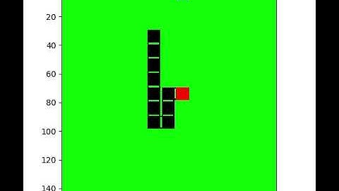 Reinforcement Applied to Snake