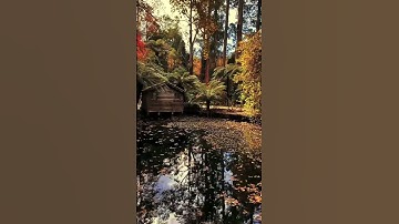 #قرآن #المصحف #shortvideo #تلاوة_خاشعة #اكسبلور