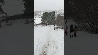 горка в чернигове возле стрижня королевская горка