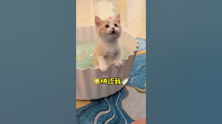 【#一只又廷】有奶瓶了，不想和没奶瓶的喵说话了！#萌化了 #小奶猫的成长日记 #又廷一家