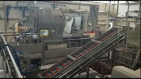Rayvolution optical sorting machine for peeled tomatoes | RAYTEC VISION SpA
