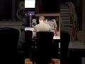 Mandolin Suite recording session #shorts #musicproduction