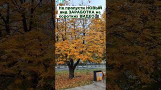 Зонтики вышли на прогулку 🤗 #бизнес #успех #деньги #работа #дом