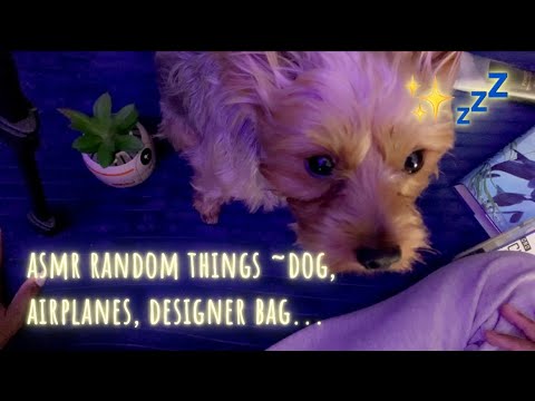 ASMR | Random object tapping/ reading, sounds|