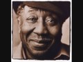 Muddy Waters Forty Days and Forty Nights