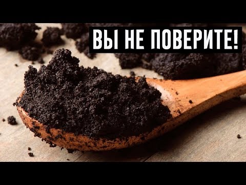 13 способов применения кофейной гущи. И некоторые из них очень неожиданные!