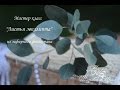 Мастер класс "Листья эвкалипта" из зефирного фоамирана