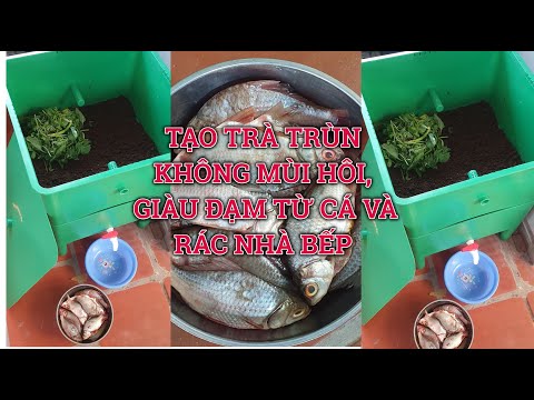 Video TẠO TRÀ TRÙN GIÀU ĐẠM TỪ CÁ VÀ RÁC NHÀ BẾP BÀNG THÙNG... - youtube