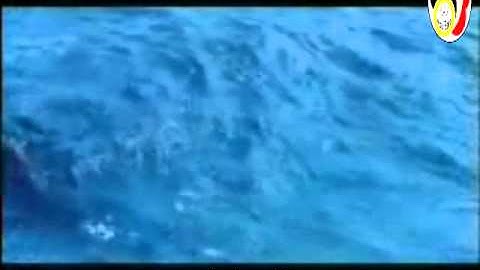 تلاوة عطرة بصوت محمد الشاعر